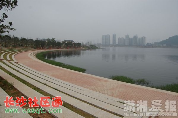 DSC_1983_D_nEO_IMG.jpg